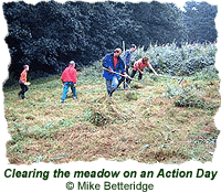 Clearing the meadow on an Action Day