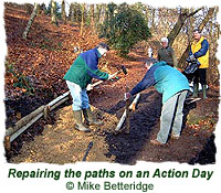 Repairing the paths on an Action Day