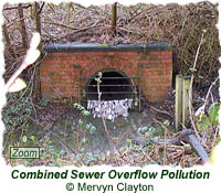 Combined Sewer Overflow pollution