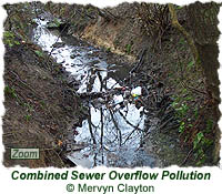 Combined Sewer Overflow pollution