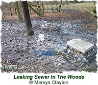Leaking sewer pollution