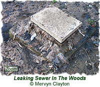 Leaking sewer pollution