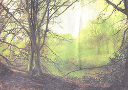 John Atkinson Grimshaw's Beeches, a view of Gledhow Woods in Leeds painted in 1872