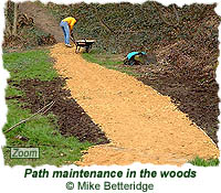 Path maintennance in the woods