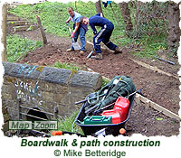 Boardwalk & path construction