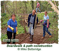 Boardwalk & path construction