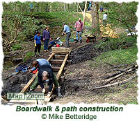 Boardwalk & path construction