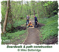 Boardwalk & path construction