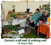 Donna with her craft stall and wishing well