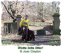 Wotta lotta litter!