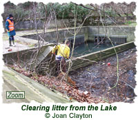 Clearing litter from the Lake