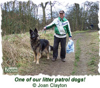 One of our litter patrol dogs!