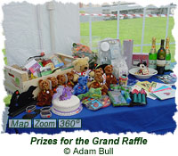 Prizes for the Grand Raffle