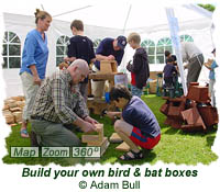 Build your own bird and bat boxes