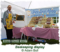 Beekeeping display