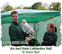 An owl from Lotherton Hall
