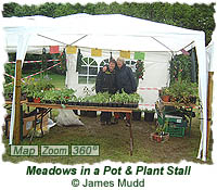 Meadows in a pot & plant stall