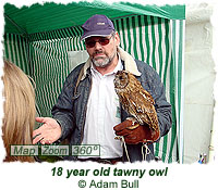 18 year old tawny owl