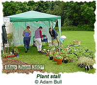 Plant stall