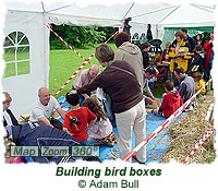 Building bird boxes
