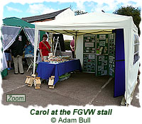 Carol at the FGVW stall