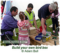 Build your own bird box