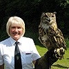 Meeting a European eagle owl