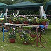 Plant stall