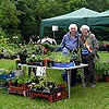 Plant stall