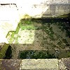 The crystal clear plunge pool