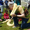 Meeting a big snake!