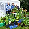 FGVW plant stall