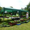 Plant stall