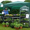 Plant stall