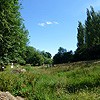 Looking along the bottom of the field