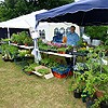 Plant stall