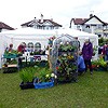 Plant stall