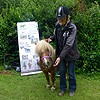 Hope Pastures Horse & Donkey Sanctuary