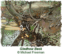 Gledhow Beck Painting