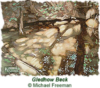 Gledhow Beck Painting