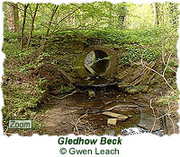 Gledhow Beck